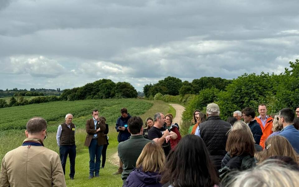 Group of event attendees in a field.